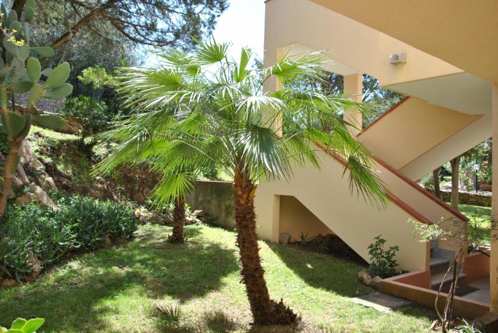 Sa Jaga Brujada Residence - Simar Vacanze ปอร์โตโรตอนโด ภายนอก รูปภาพ